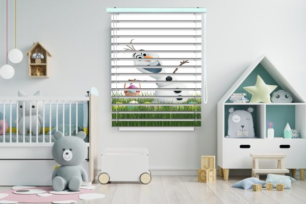 پرده زبرا طرح انیمیشن فروزن کد Z1108