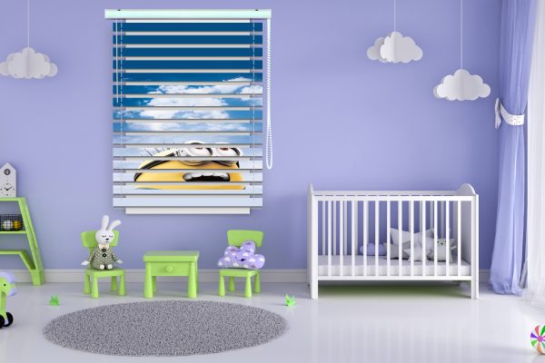 پرده زبرا طرح انیمیشن مینیون ها کد Z1276