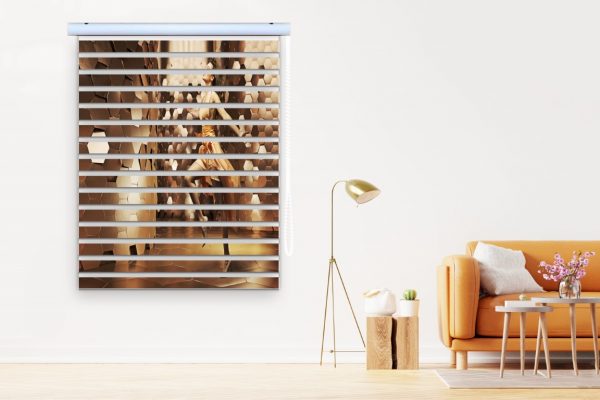 پرده زبرا طرح خانم کد Woman1667