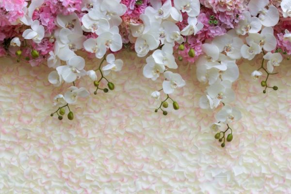 پرده زبرا طرح منظره کد ZB1699