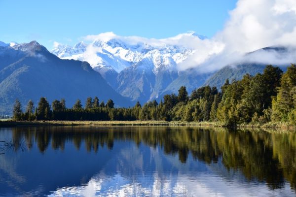 پرده زبرا طرح منظره کد ZB1704