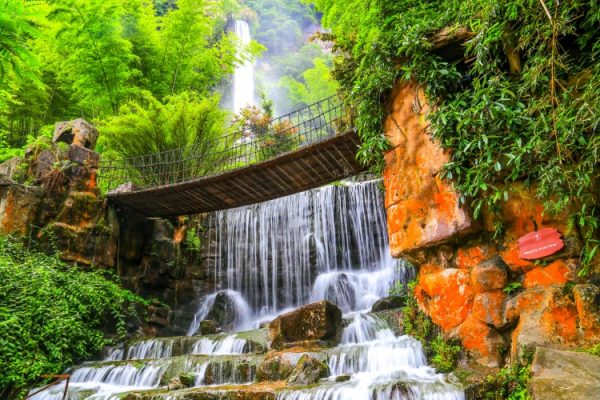 پرده زبرا طرح منظره کد ZB1719