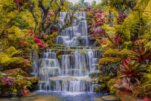 پرده زبرا طرح منظره کد ZB1720