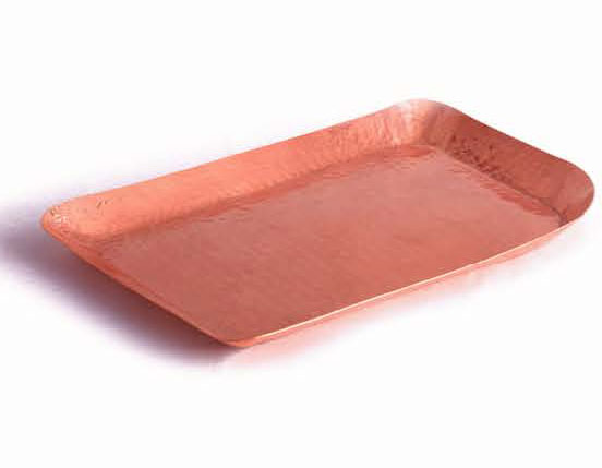 دیس دلفین مدل ۲۰۲۵