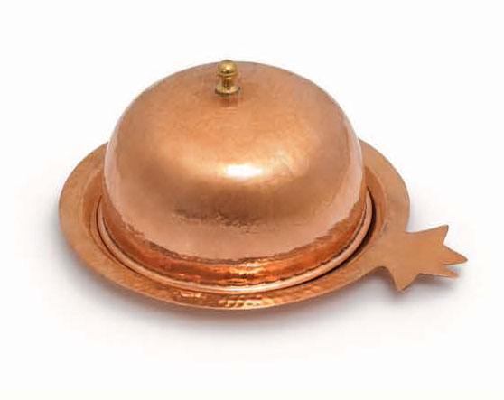 شانار مدل ۲۰۲۹