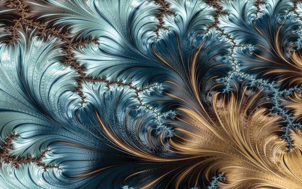 پوستر طرح پر 3D1227