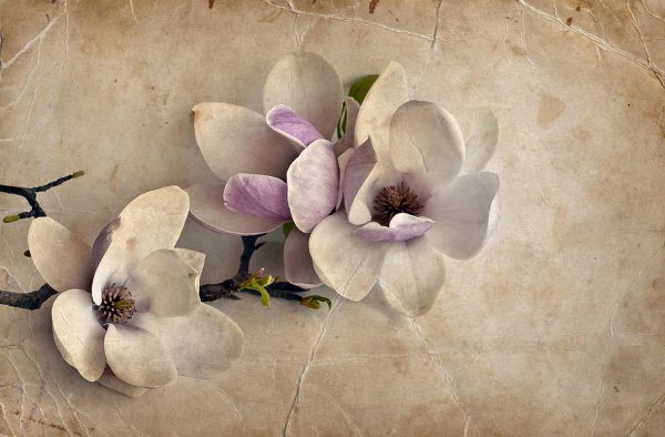 پوستر طرح گل 3D1229