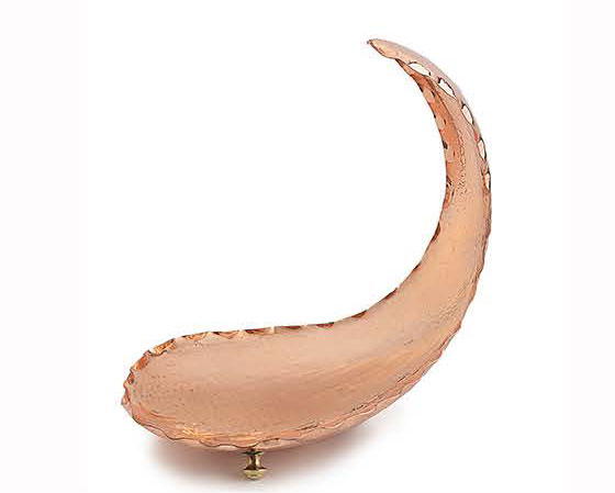 کژدم مدل ۲۰۸۲