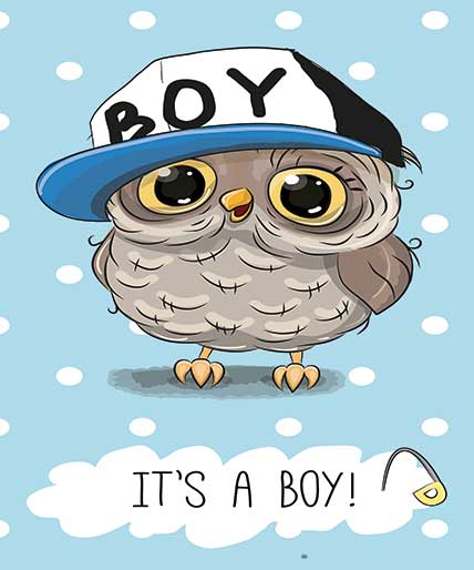 پوستر طرح جغد K3021