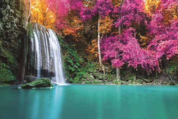 پرده زبرا طرح منظره کد ZB5004