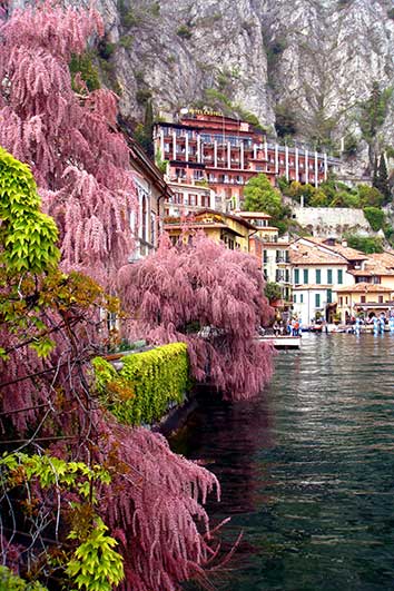 پوستر طرح طبیعت L5005