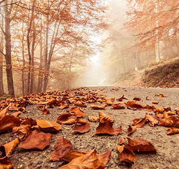 پوستر طرح پاییز L5020