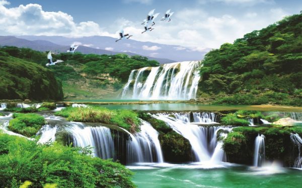 پرده زبرا طرح منظره کد ZB5025