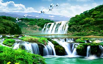 پوستر طرح طبیعت L5025