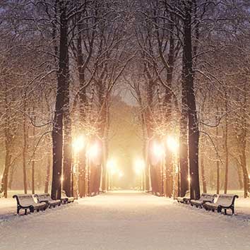 پوستر طرح جنگل و زمستان L5036