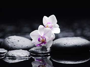 پوستر طرح گل و سنگ L5048