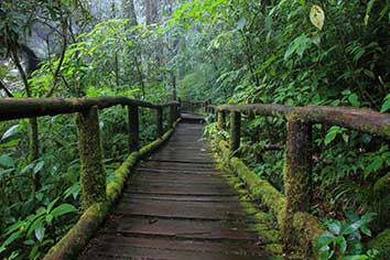 پوستر طرح طبیعت L5054