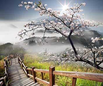 پوستر طرح زمستان و پل L5058