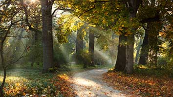 پوستر طرح طبیعت و پاییز L5072