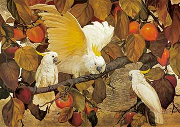 پوستر طرح نقاشی پرنده p6020