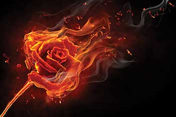 پوستر طرح نقاشی گل p6055