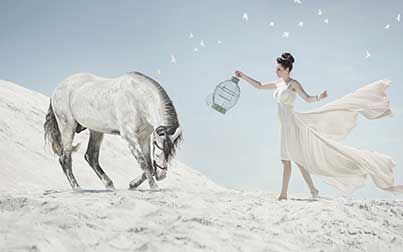 پوستر طرح دختر و اسب W4064