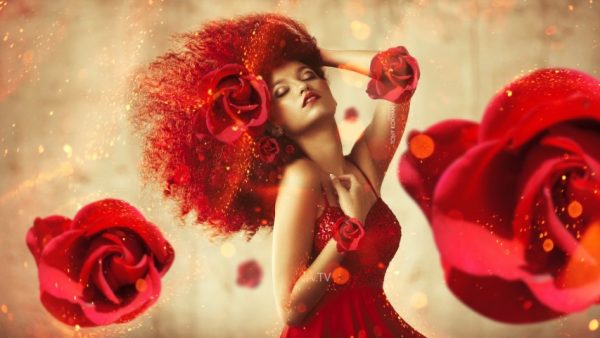 پرده زبرا طرح دختر فانتزی کد WO509