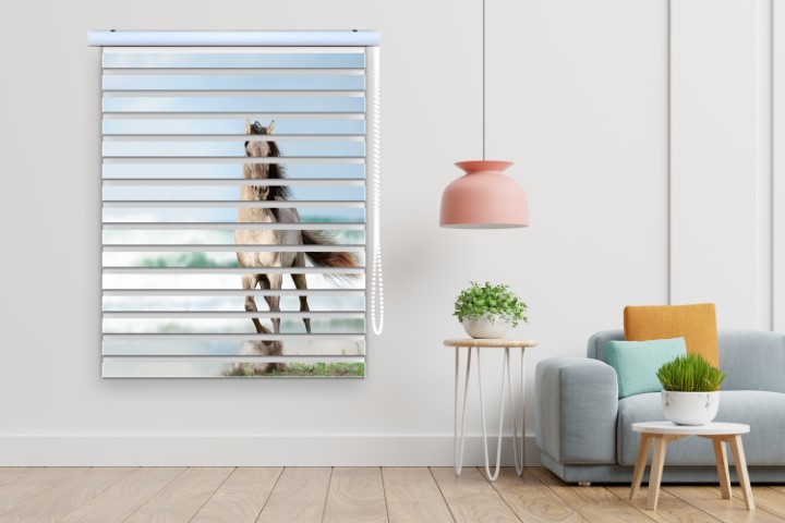 پرده زبرا طرح اسب کد al49