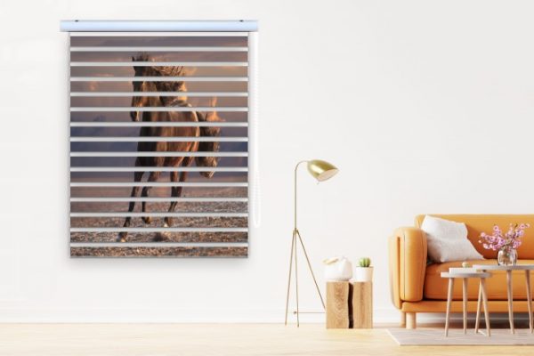 پرده زبرا طرح اسب کد al6