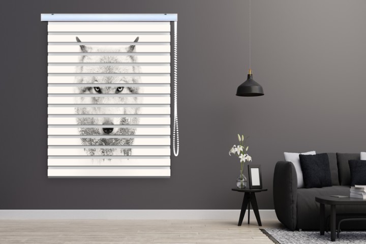 پرده زبرا طرح گرگ کد al62