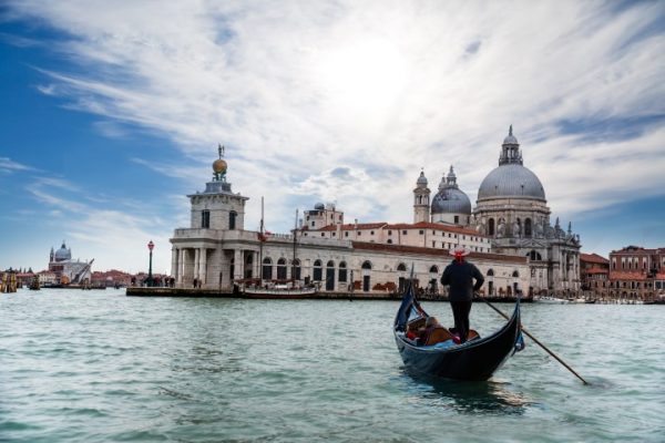 پرده زبرا طرح باستانی کد ant104