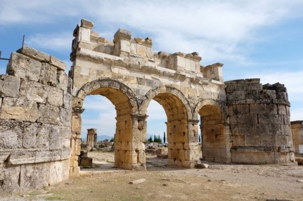 پرده زبرا طرح باستانی کد ant105