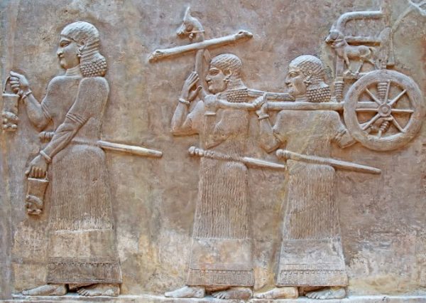 پرده زبرا طرح باستانی کد ant114