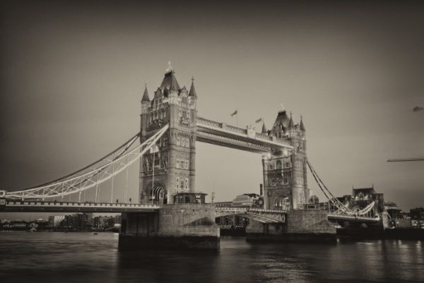 پرده زبرا طرح باستانی کد ant145