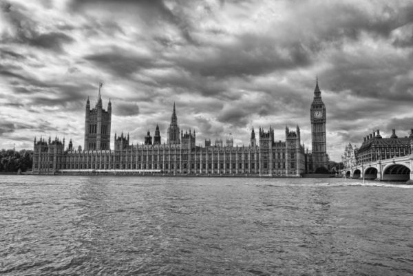 پرده زبرا طرح باستانی کد ant152