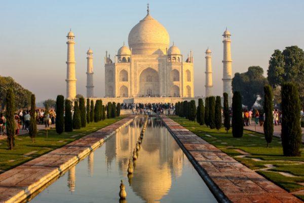 پرده زبرا طرح باستانی کد ant158