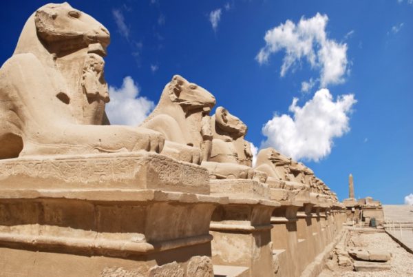 پرده زبرا طرح باستانی کد ant44