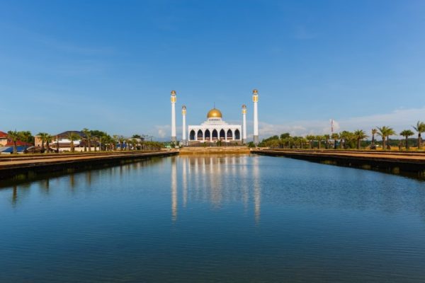 پرده زبرا طرح باستانی کد ant46