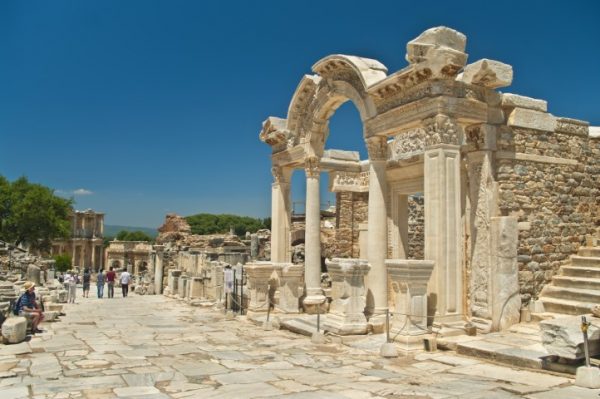 پرده زبرا طرح باستانی کد ant51