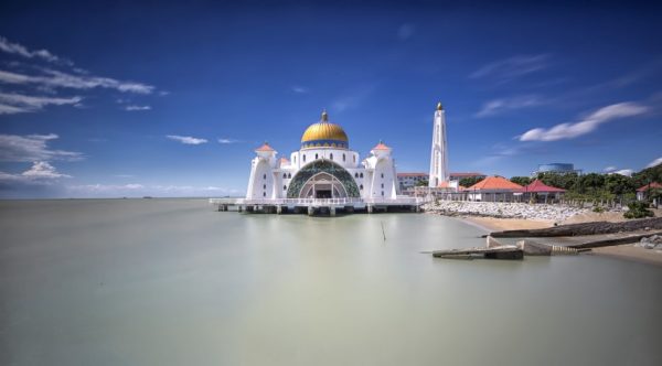 پرده زبرا طرح باستانی کد ant76