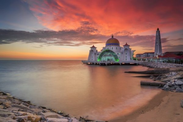 پرده زبرا طرح باستانی کد ant77