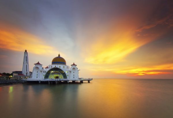 پرده زبرا طرح باستانی کد ant79