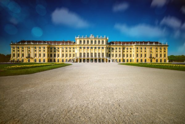 پرده زبرا طرح باستانی کد ant99