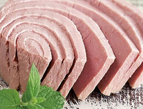 تاریخچه تن ماهی